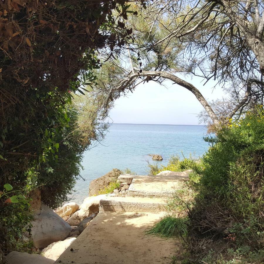 Villa Di Franco Cefalù Eksteriør billede